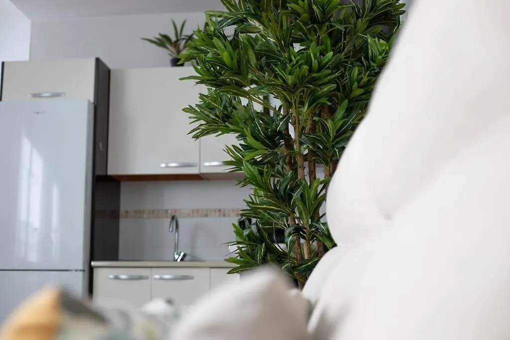 Trinidad Aparment Apartment Malaga